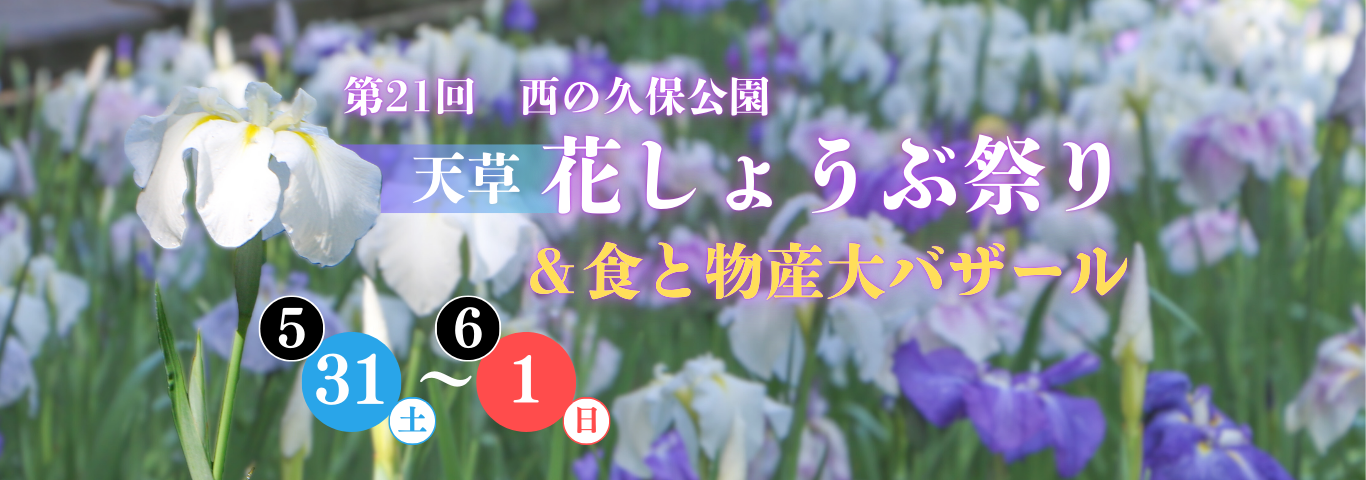 天草花しょうぶ祭り