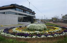 シンボル花壇(東浜花壇)