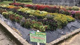 手野花壇