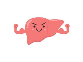 肝臓