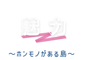 天草市の魅力～ホンモノがある島～