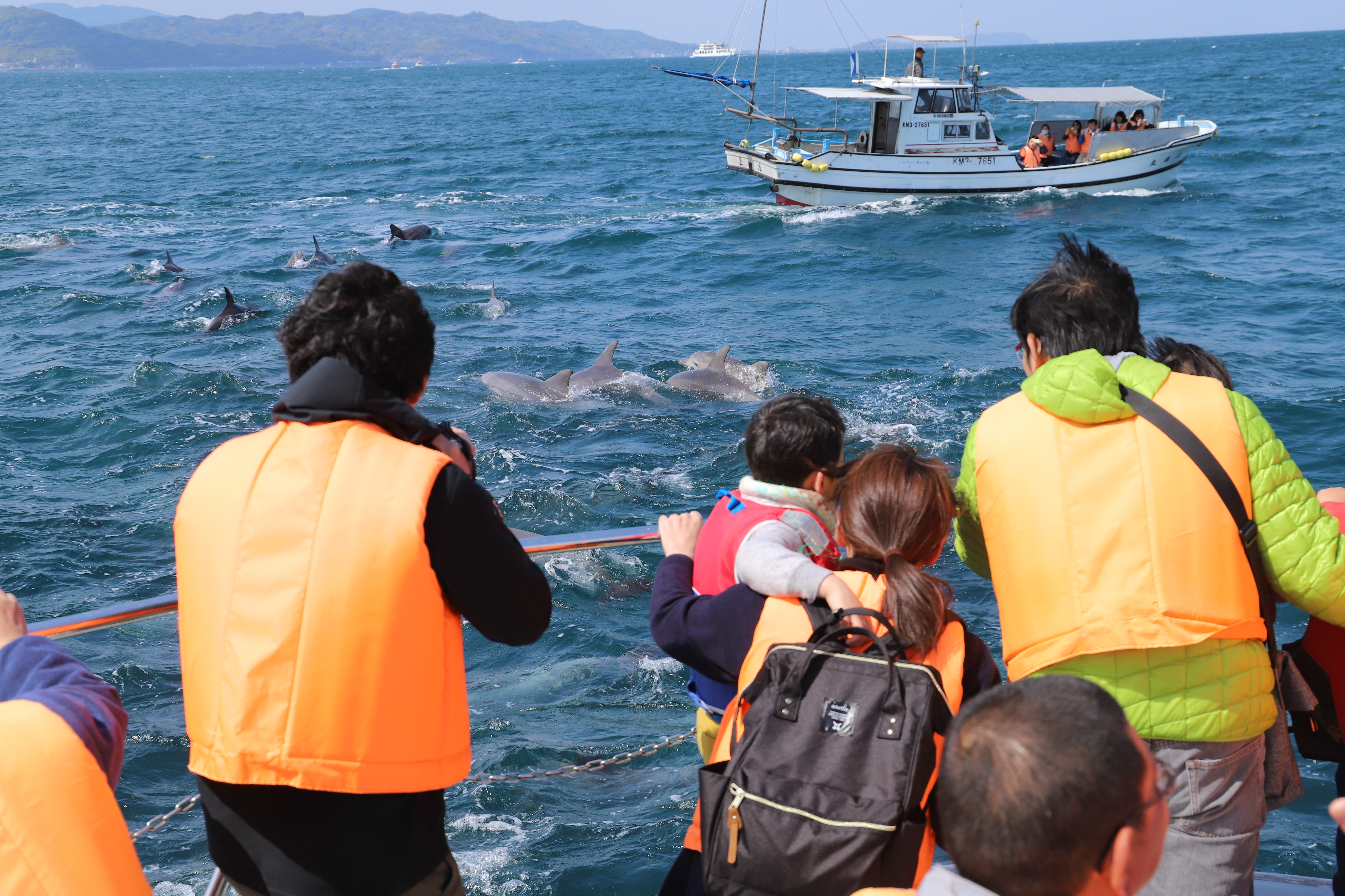 体験学習の島づくりとは
