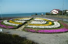 シンボル花壇（上津浦インター）