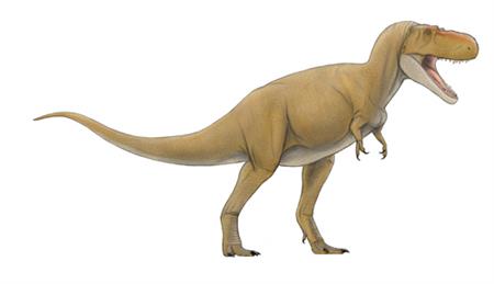 ティラノサウルス科の獣脚類
