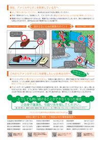 アメリカザリガニ2