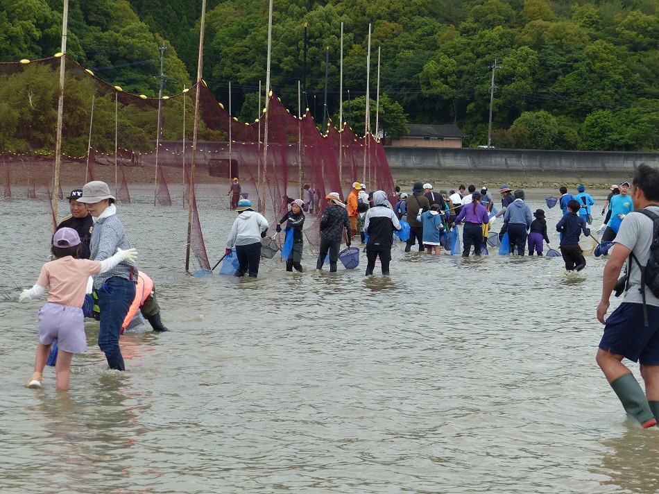 網のたもとで魚を狙う参加者たちの画像