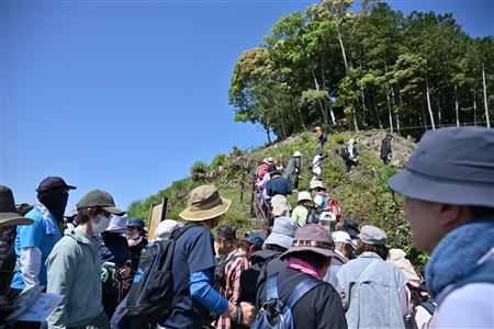 NZ8_9698