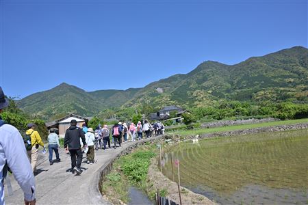 NZ8_9625