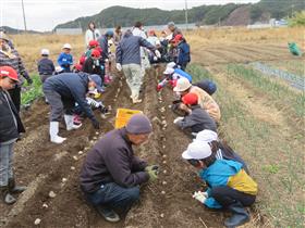 苗植えのようす(3月)