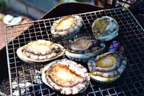 アワビ焼いてます
