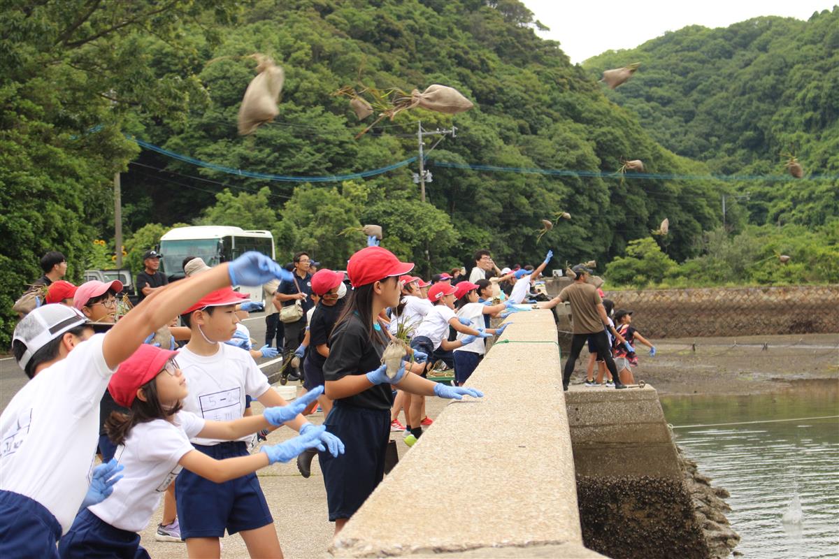 牛深の海を豊かに～牛深小学校児童によるアマモ藻場造成活動体験～の画像