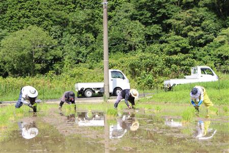 友人と一緒に田植え