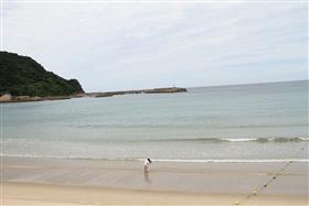 海岸
