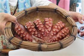 振舞い料理「牛深のタコ」