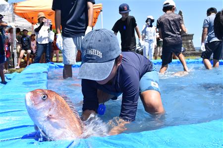 タイも必死に逃げる