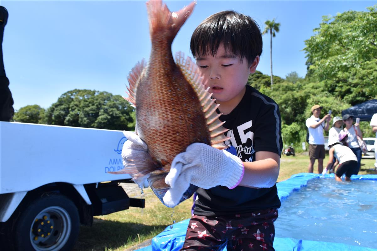 海の大切さを学ぶ「御領海の日フェスタ」～五和町若宮海水浴場～の画像