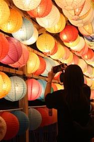 写真に夢中のようです