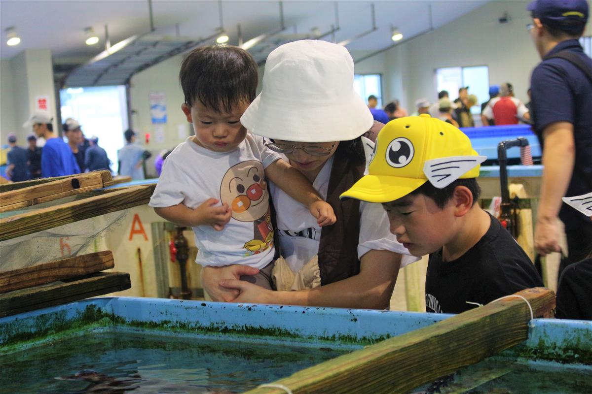 いけすの中にいる魚を観察する親子の画像