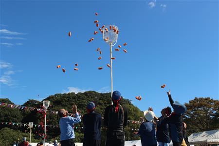 地区対抗アジャタ