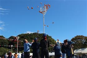 地区対抗アジャタ