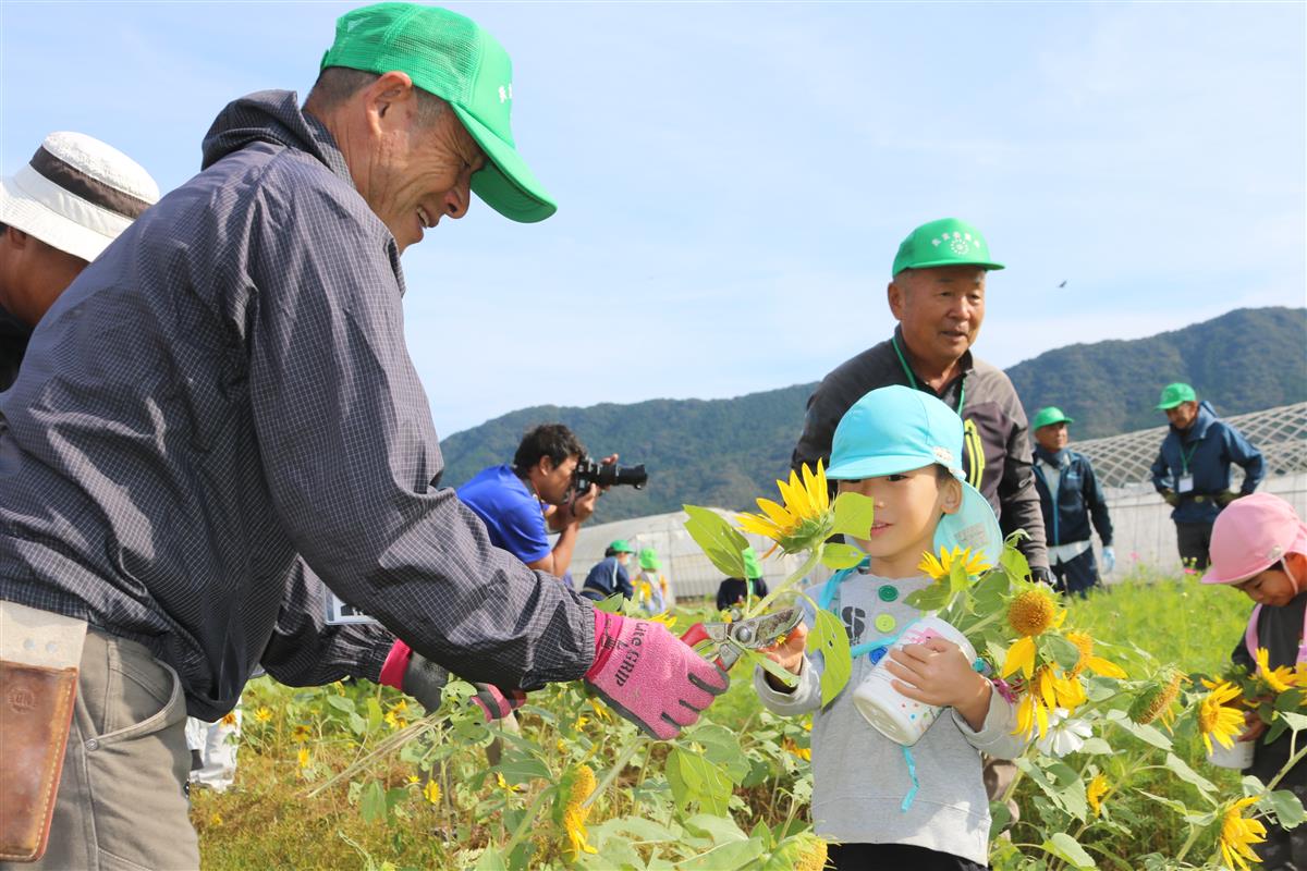 花摘み体験の画像