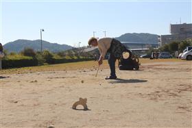 イベントミッション：ゲートボール