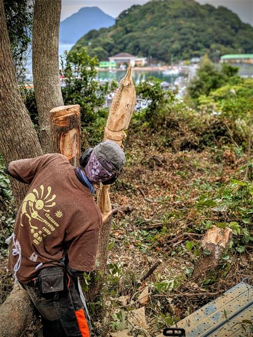 PXL_20251112_053607675.PORTRAIT~2