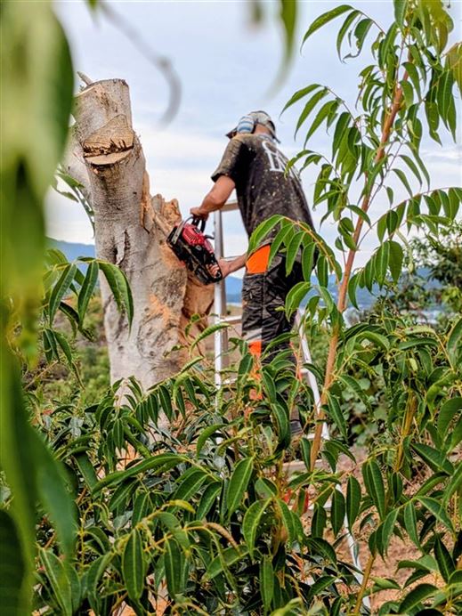 PXL_20251111_051026479.PORTRAIT~2