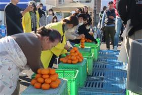 農協によるミニゲーム