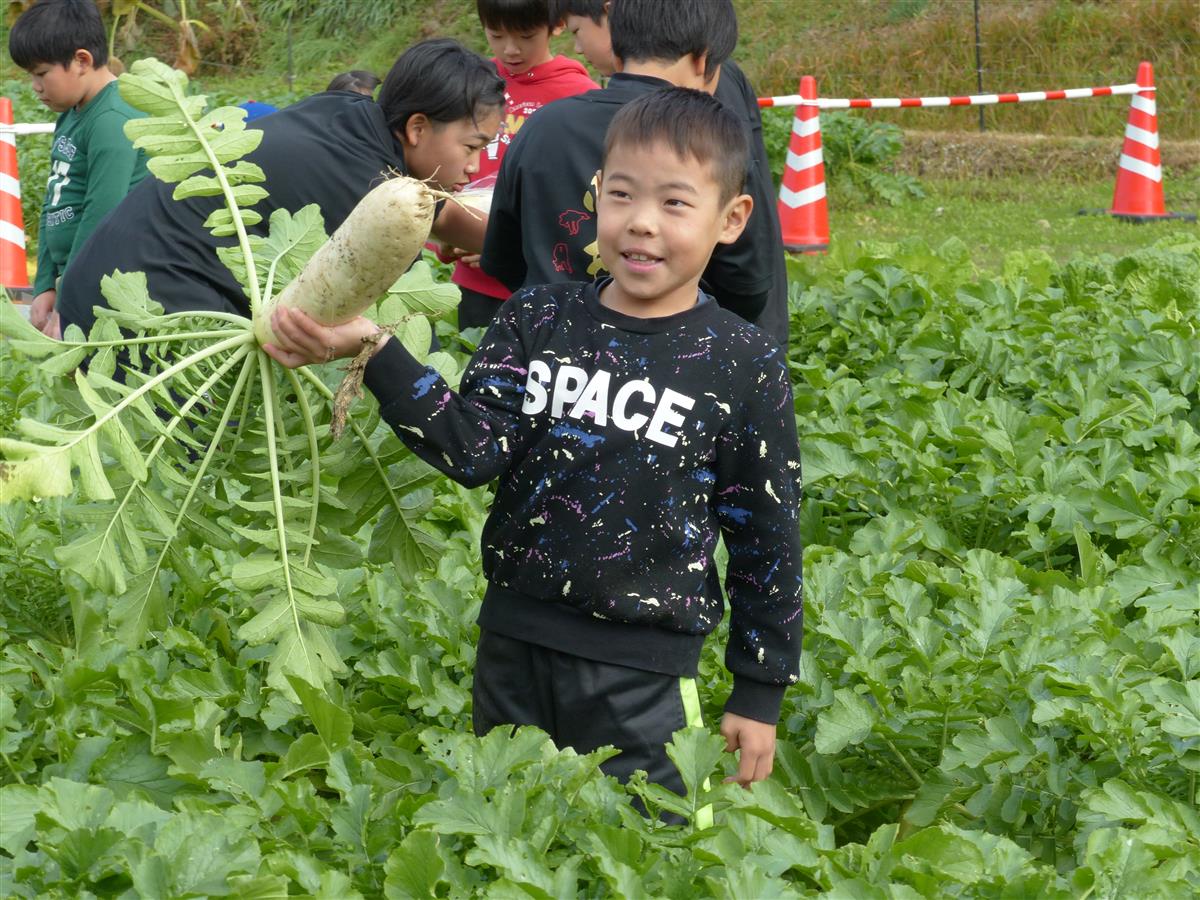 碇石ふるさと祭りの画像