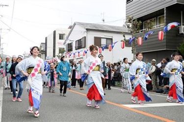 ハイヤ娘の写真