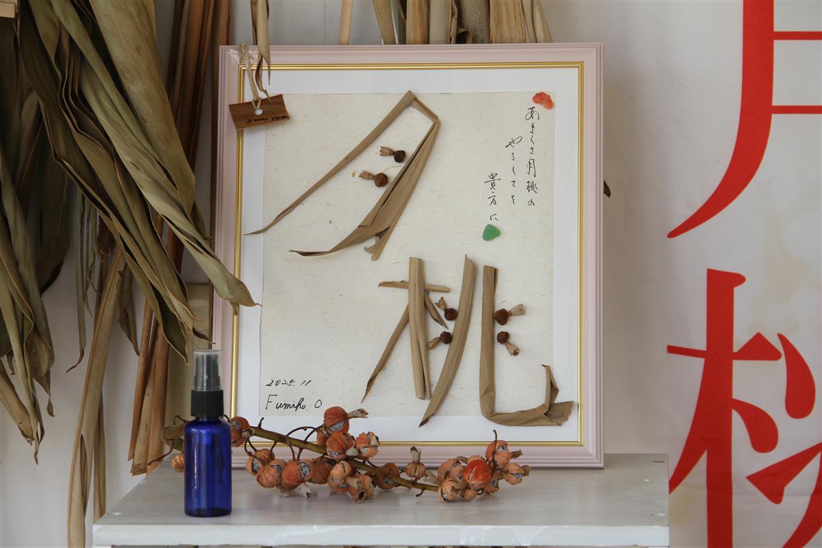 「アマクサ月桃ノエル」で一足早いクリスマスの画像