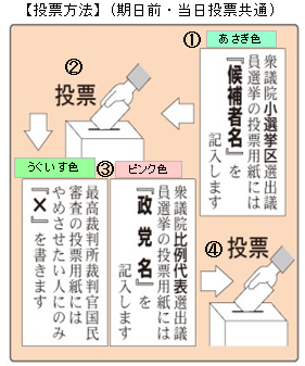 投票方法(R8衆院)