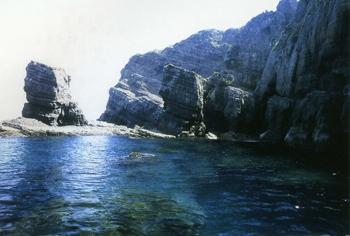 龍仙島（片島）の画像