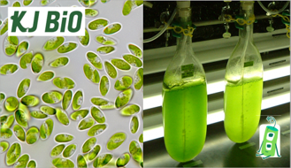 (株)ＫＪバイオの画像