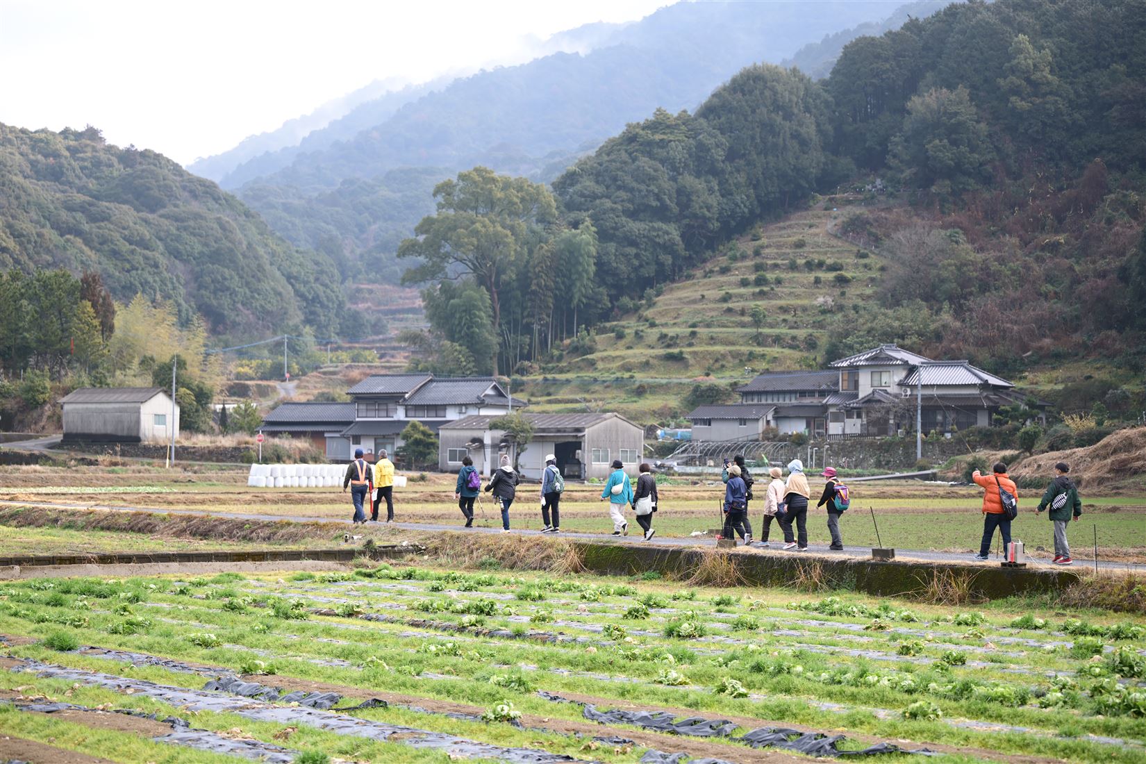 浦城跡に向かって (2)