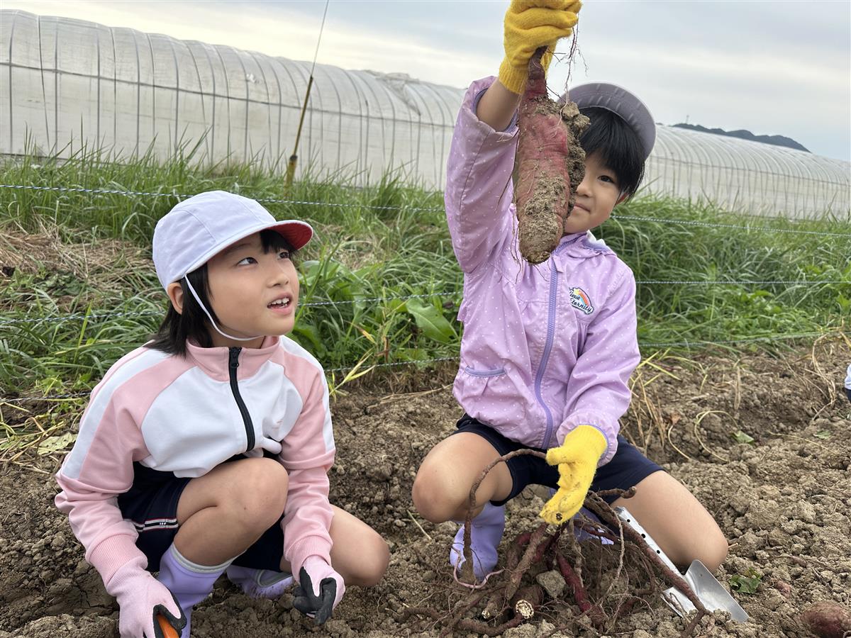 農産物の収穫体験の画像