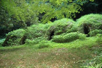 高浜焼窯跡及び灰原の画像