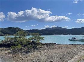 (2)天草市進出のきっかけ