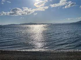 (4)天草に進出してみての感想