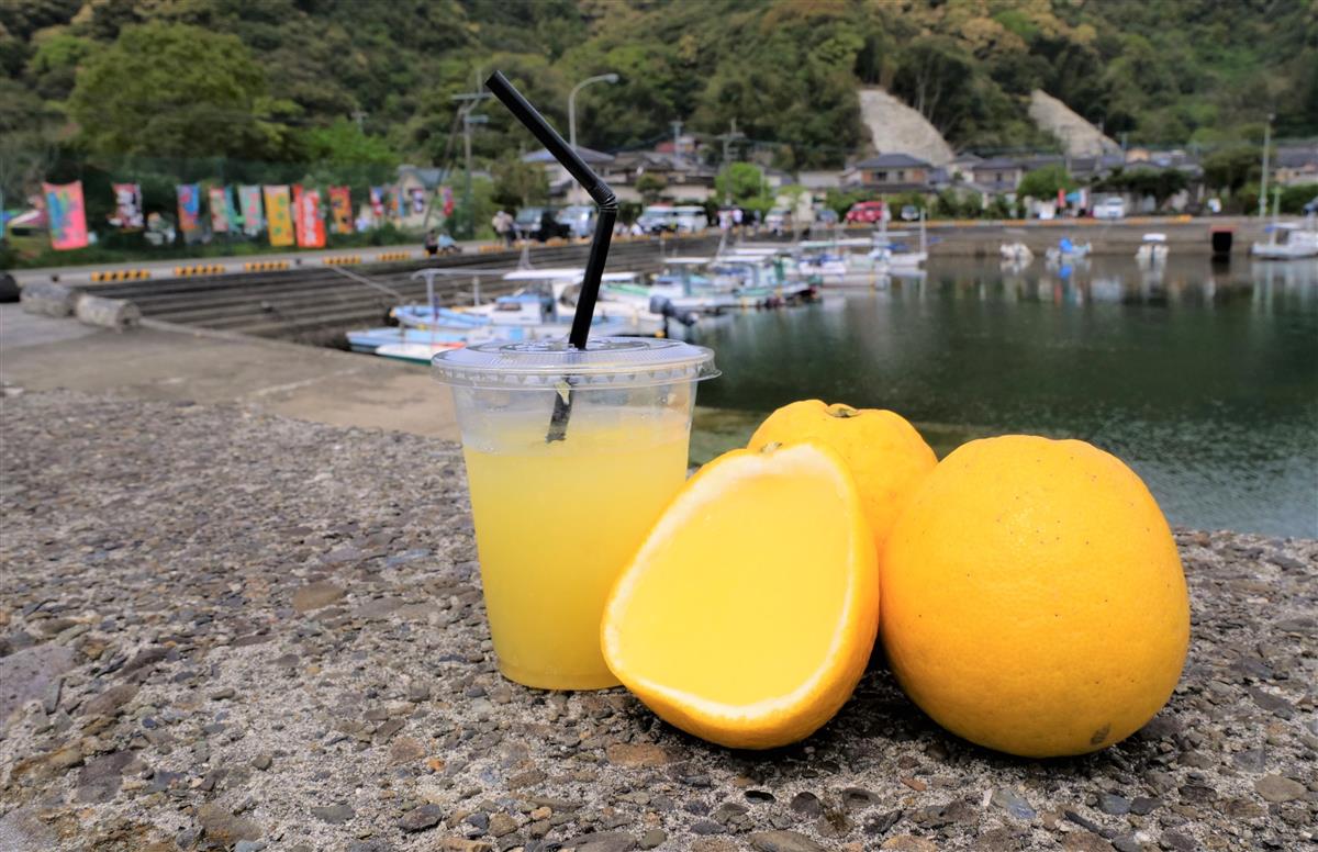 第13回浅海ばんかん祭りが開催されました！の画像