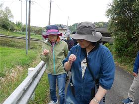 植物の匂いを嗅ぐ参加者