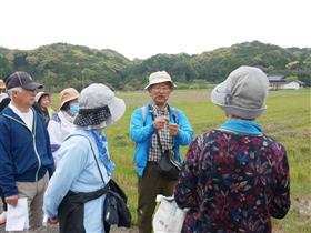 植物の説明をする金井さん