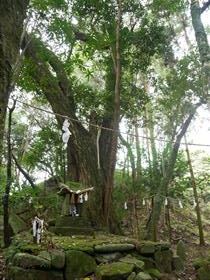 山ん神と御神木