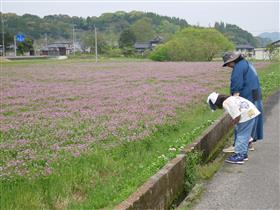 「イモリがいるよ！」