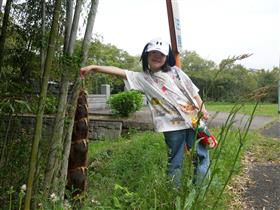タケノコと背比べ