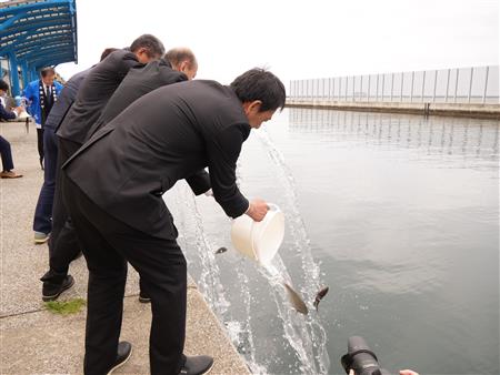 稚魚の放流