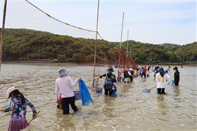 魚を網まで追い込みます