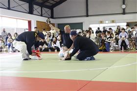 大泣きドスコイ！