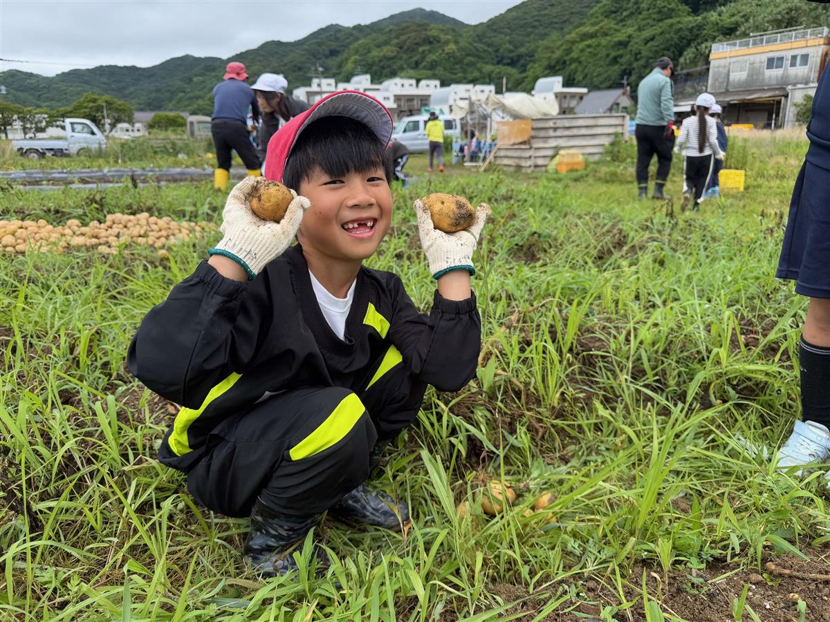 たくさんジャガイモ獲れたよ！の画像